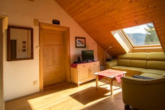 Wohnecke mit Sofa, Fernseher und Dachfenster mit Blick ins Grüne